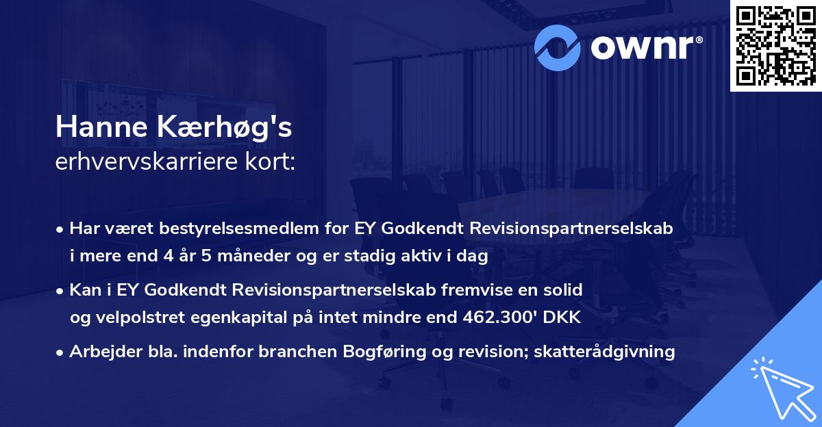 Hanne Kærhøg's erhvervskarriere kort