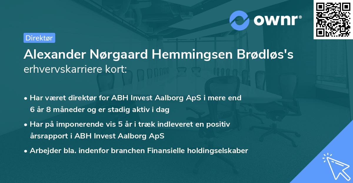 Alexander Nørgaard Hemmingsen Brødløs's erhvervskarriere kort