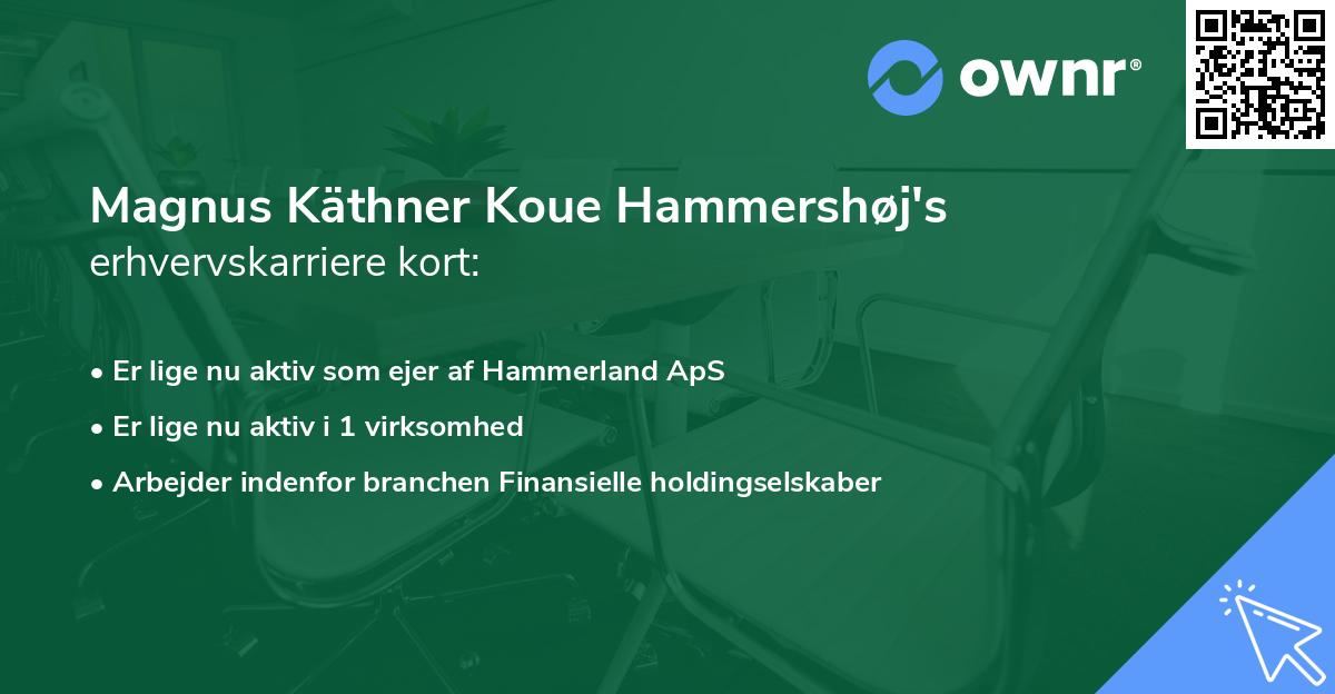 Magnus Käthner Koue Hammershøj's erhvervskarriere kort