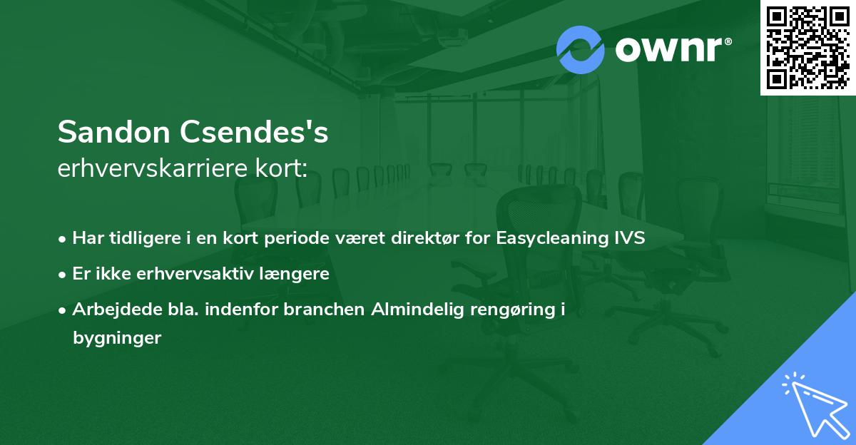 Sandon Csendes's erhvervskarriere kort