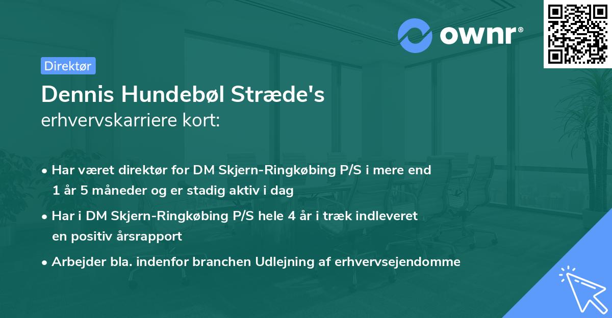 Dennis Hundebøl Stræde's erhvervskarriere kort