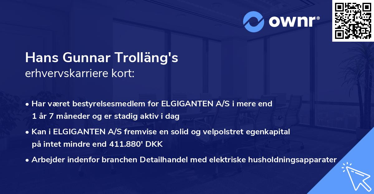 Hans Gunnar Trolläng's erhvervskarriere kort