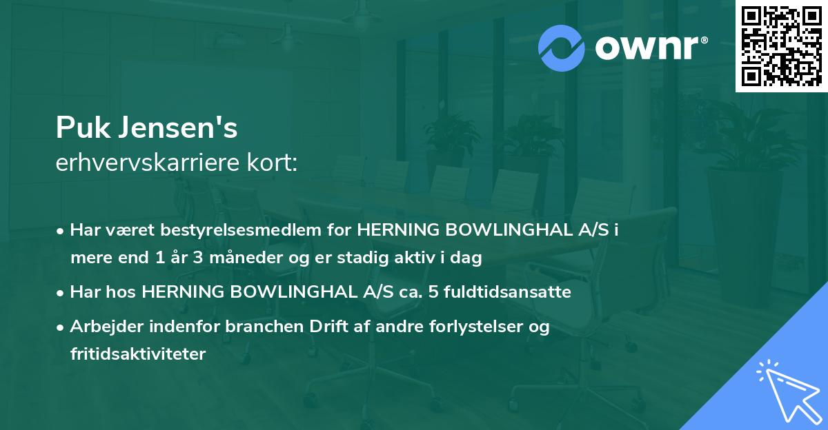 Puk Jensen's erhvervskarriere kort