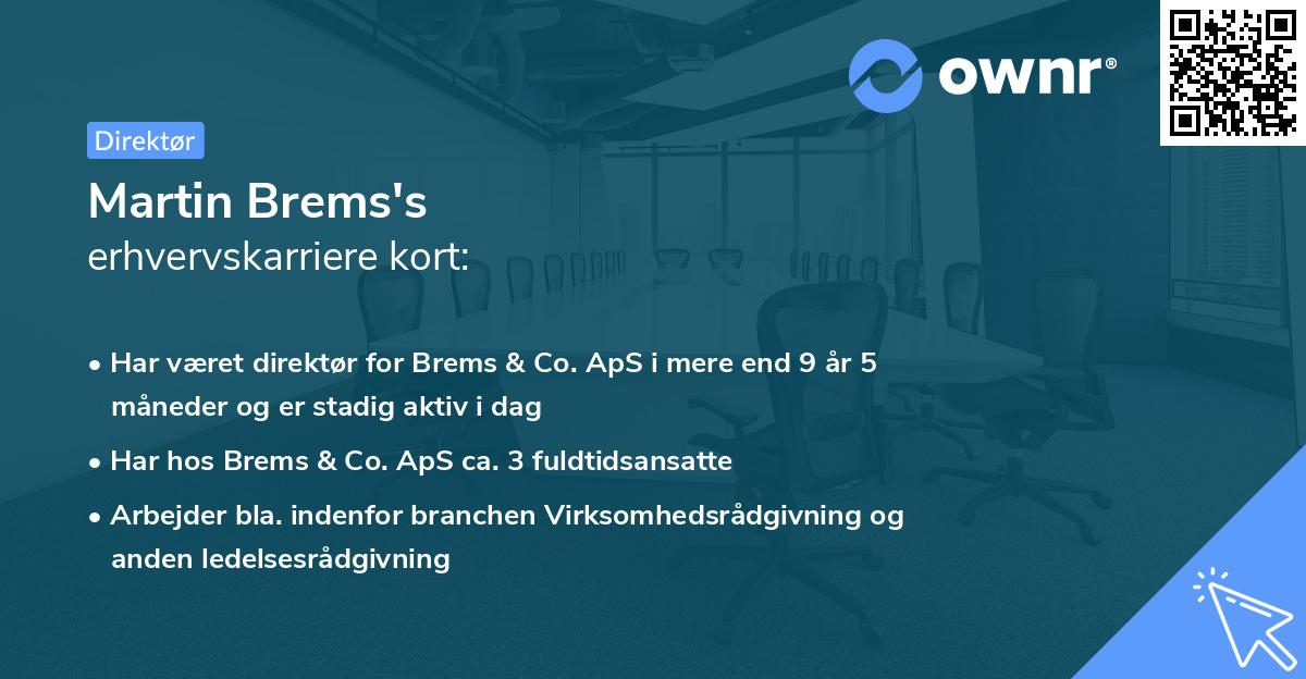 Martin Brems's erhvervskarriere kort
