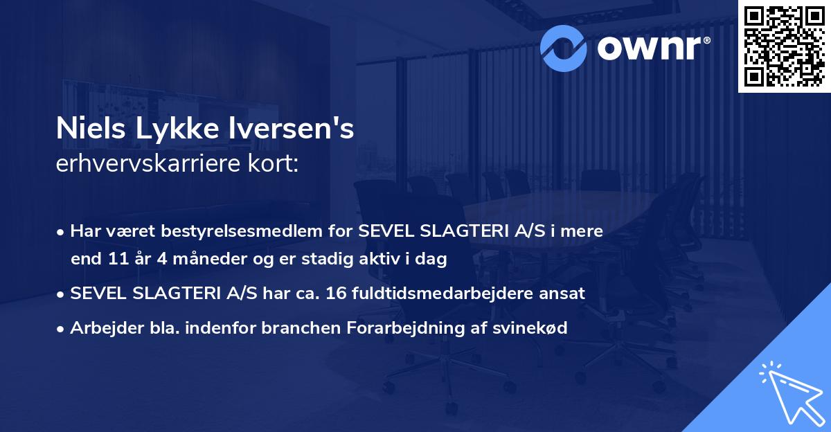 Niels Lykke Iversen's erhvervskarriere kort