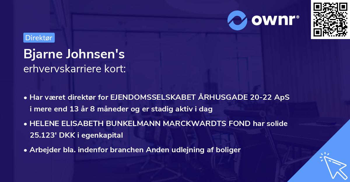 Bjarne Johnsen's erhvervskarriere kort