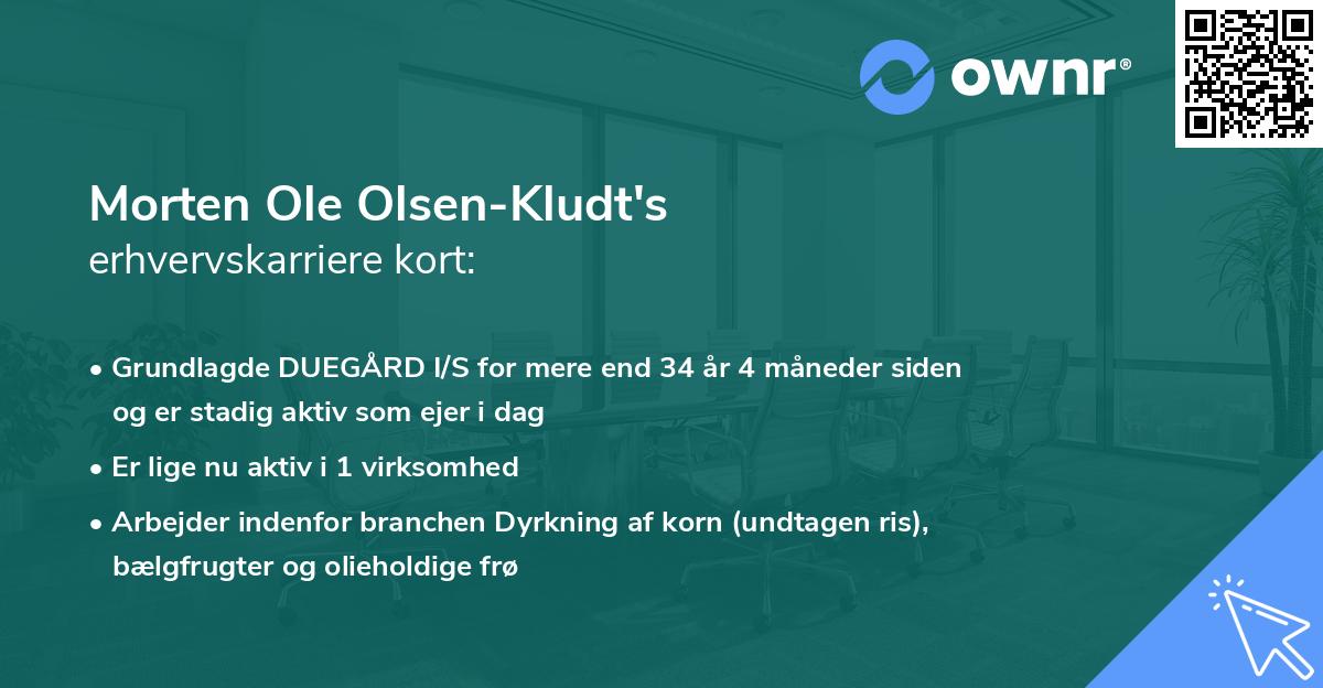Morten Ole Olsen-Kludt's erhvervskarriere kort