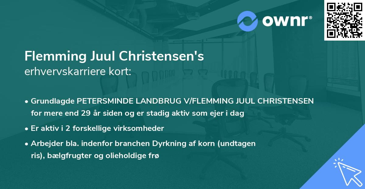 Flemming Juul Christensen's erhvervskarriere kort