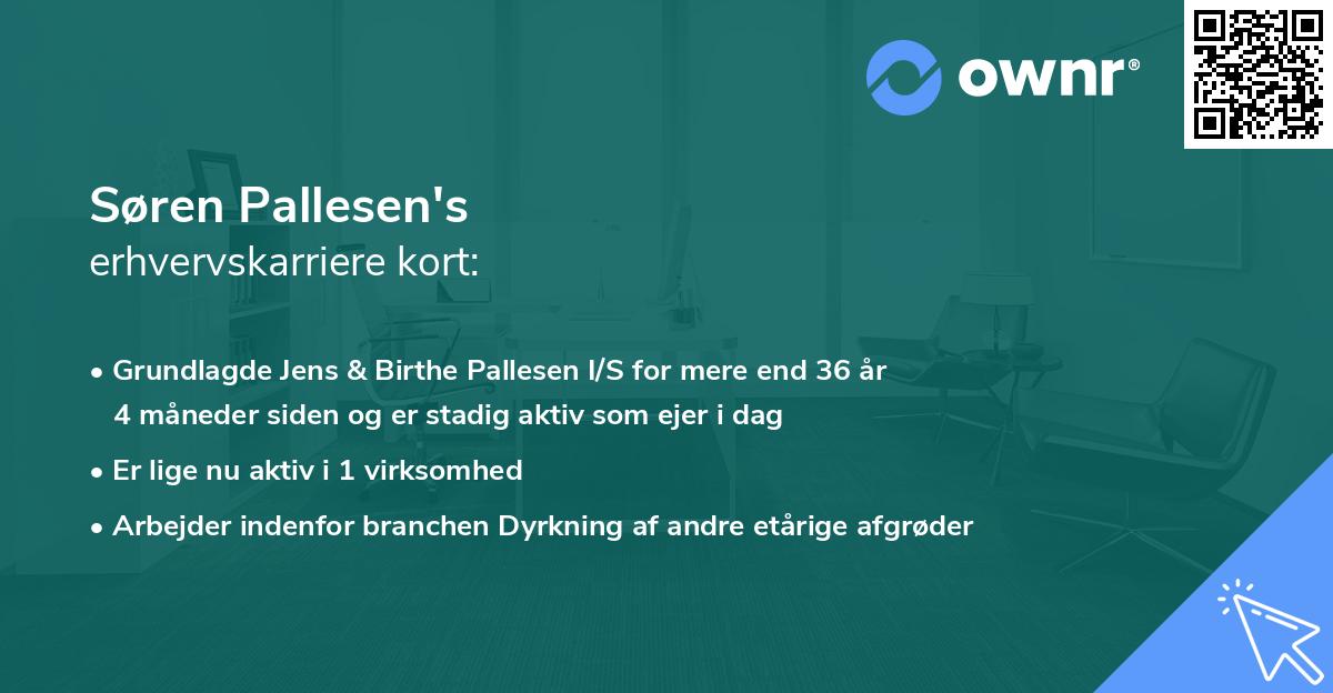 Søren Pallesen's erhvervskarriere kort