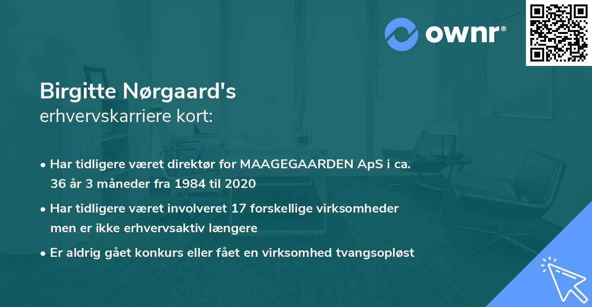 Birgitte Nørgaard's erhvervskarriere kort
