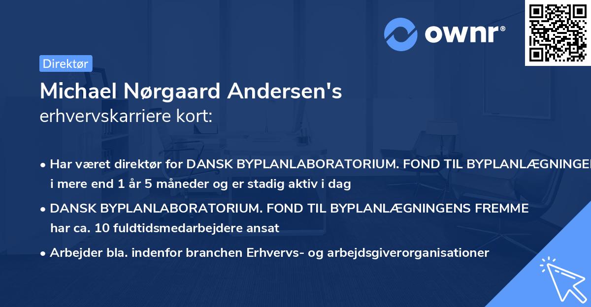 Michael Nørgaard Andersen's erhvervskarriere kort