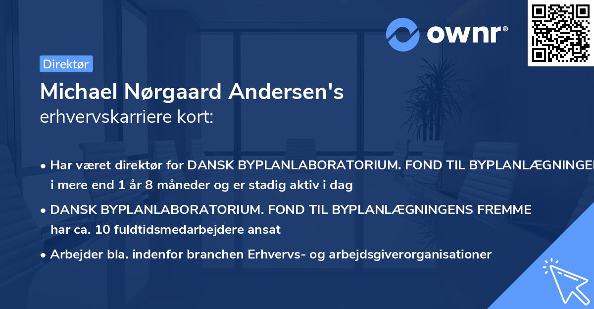 Michael Nørgaard Andersen's erhvervskarriere kort