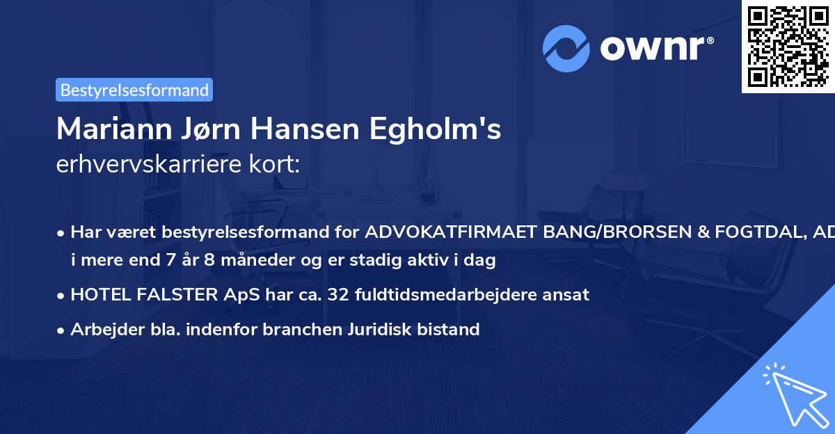 Mariann Jørn Hansen Egholm's erhvervskarriere kort