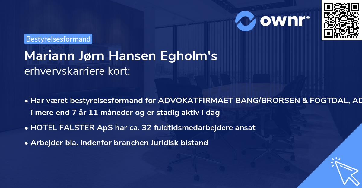 Mariann Jørn Hansen Egholm's erhvervskarriere kort