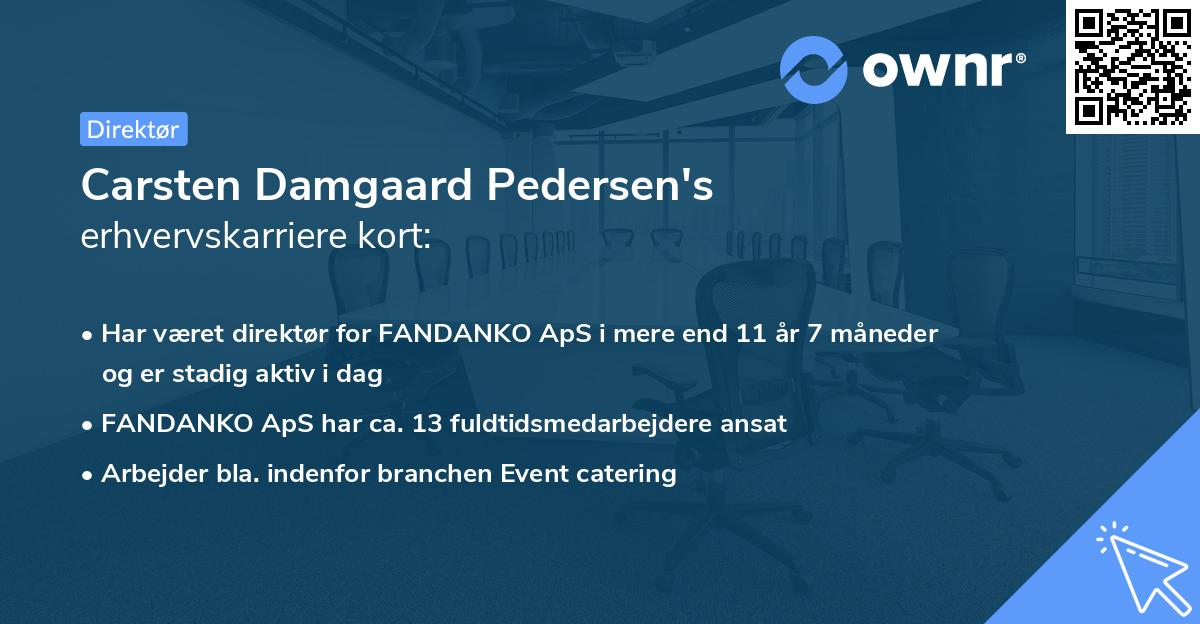Carsten Damgaard Pedersen's erhvervskarriere kort