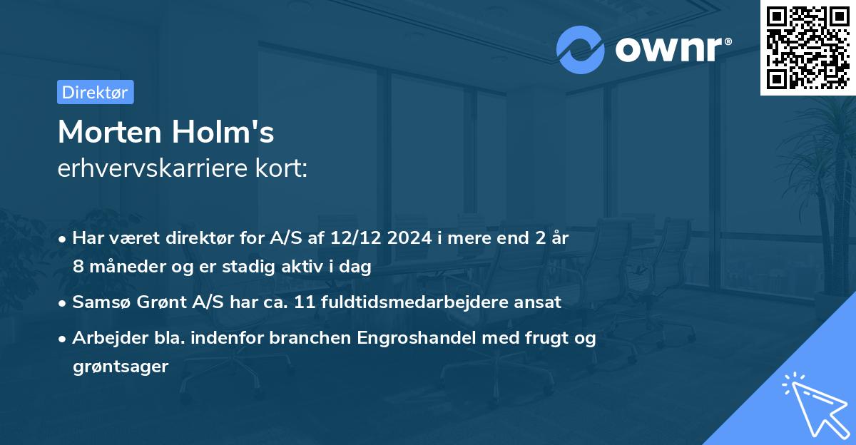 Morten Holm's erhvervskarriere kort
