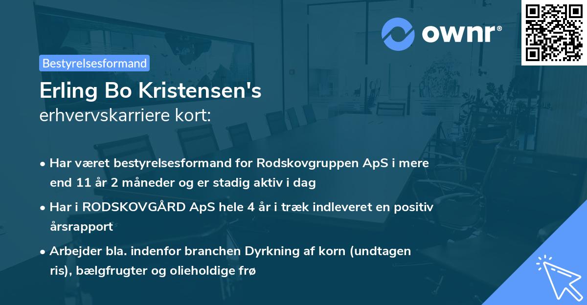 Erling Bo Kristensen's erhvervskarriere kort