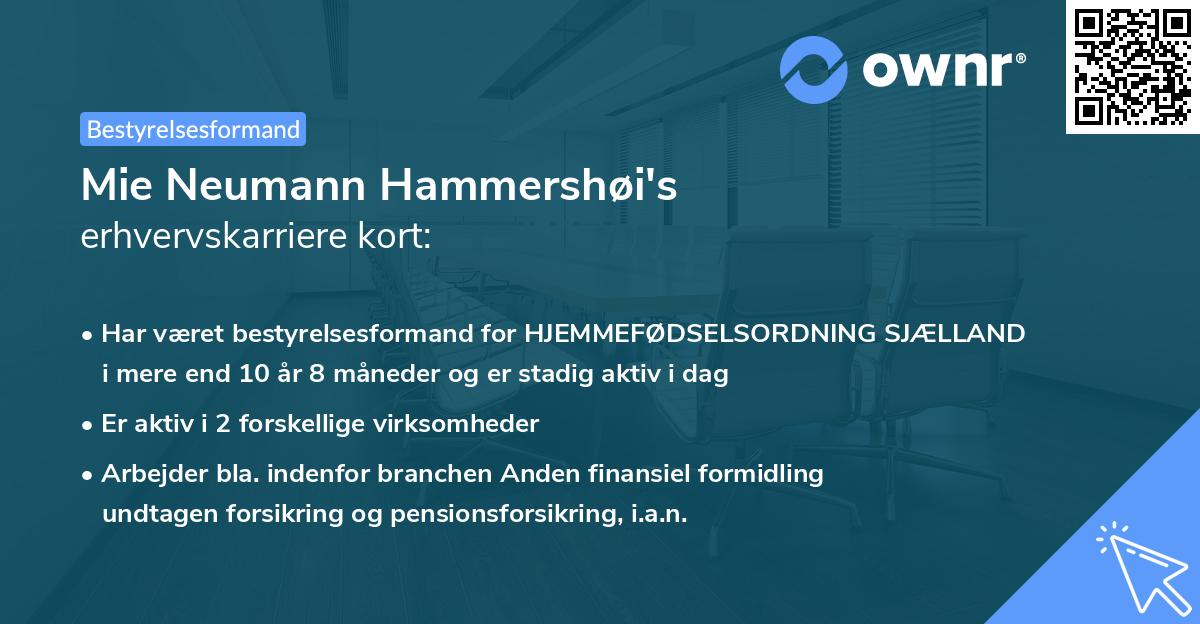 Mie Neumann Hammershøi's erhvervskarriere kort