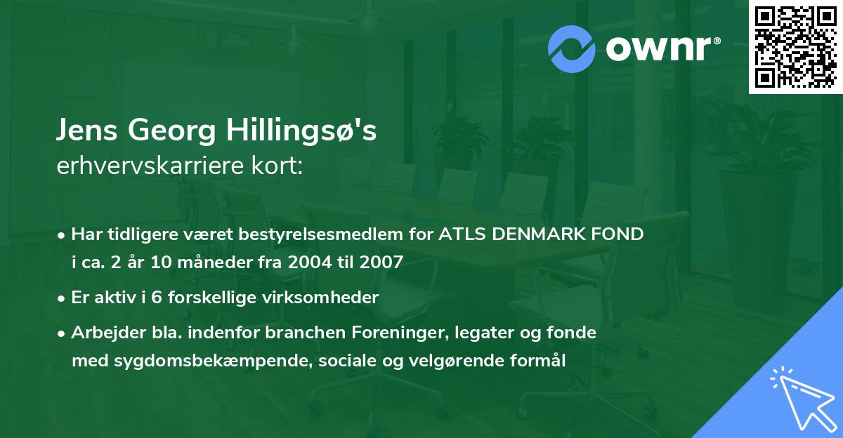 Jens Georg Hillingsø's erhvervskarriere kort