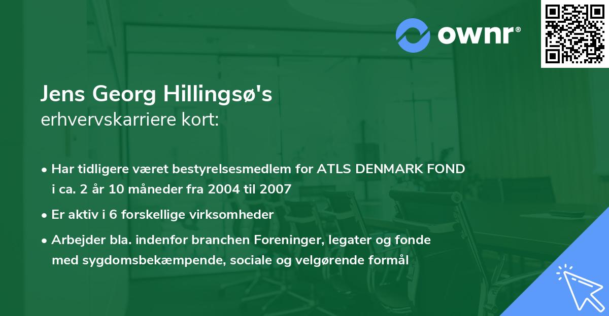 Jens Georg Hillingsø's erhvervskarriere kort