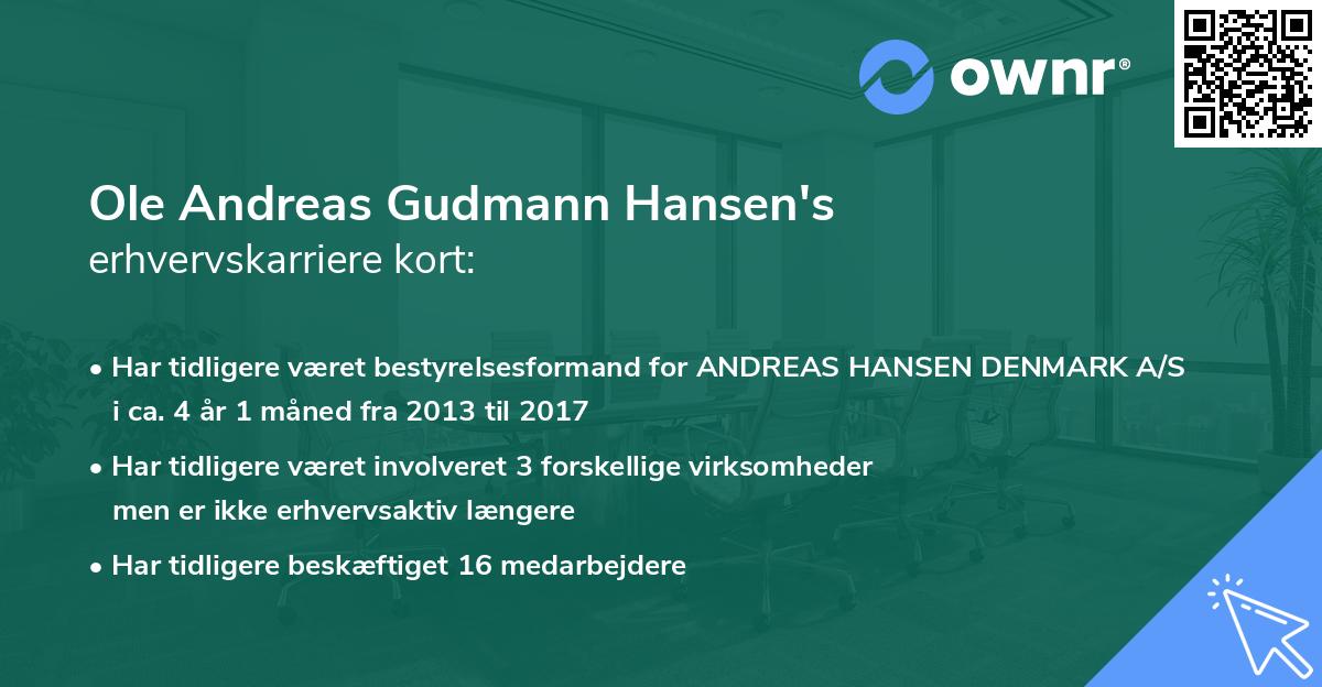 Ole Andreas Gudmann Hansen's erhvervskarriere kort