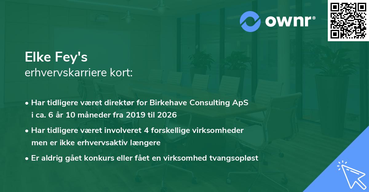 Elke Fey's erhvervskarriere kort