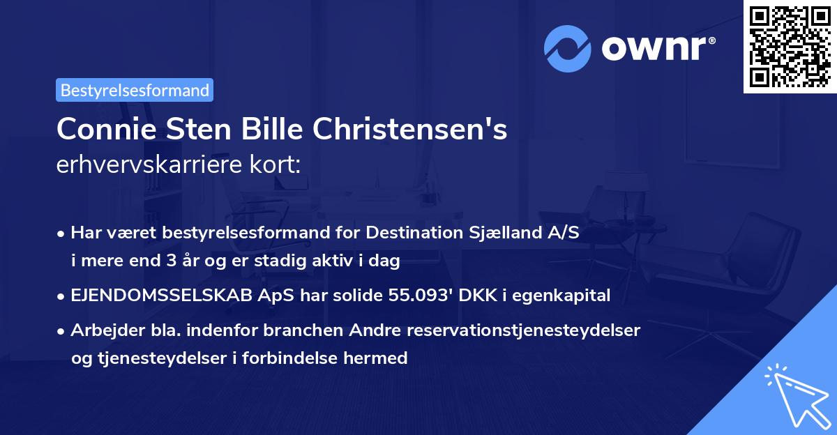 Connie Sten Bille Christensen's erhvervskarriere kort