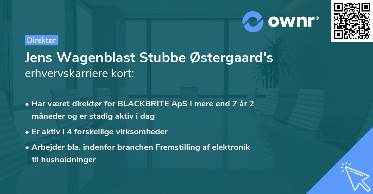 Jens Wagenblast Stubbe Østergaard's erhvervskarriere kort