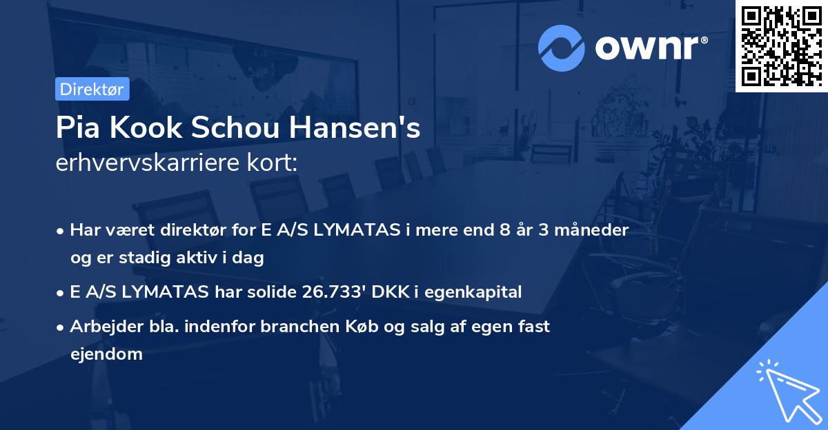 Pia Kook Schou Hansen's erhvervskarriere kort
