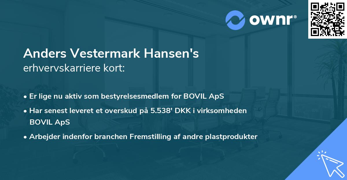 Anders Vestermark Hansen's erhvervskarriere kort