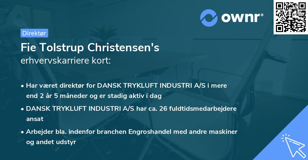 Fie Tolstrup Christensen's erhvervskarriere kort