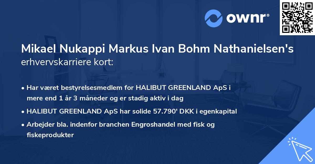 Mikael Nukappi Markus Ivan Bohm Nathanielsen's erhvervskarriere kort