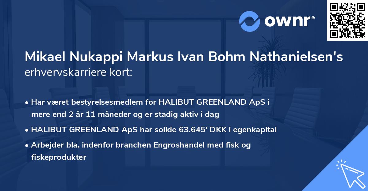 Mikael Nukappi Markus Ivan Bohm Nathanielsen's erhvervskarriere kort