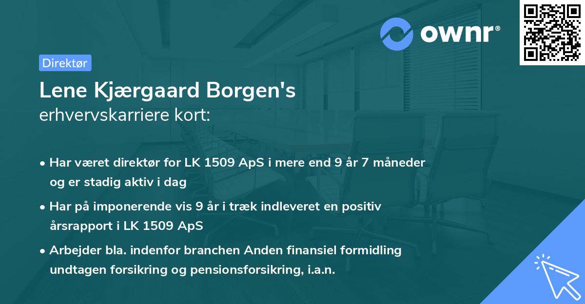 Lene Kjærgaard Borgen's erhvervskarriere kort