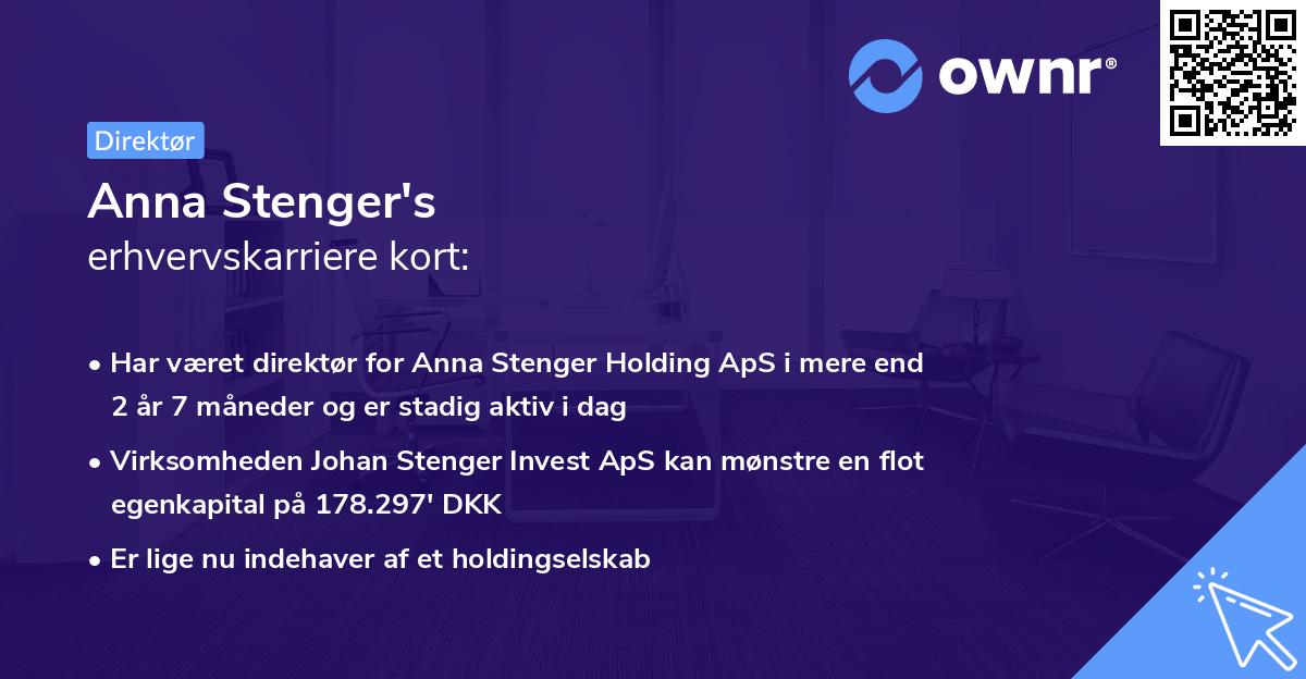 Anna Stenger's erhvervskarriere kort