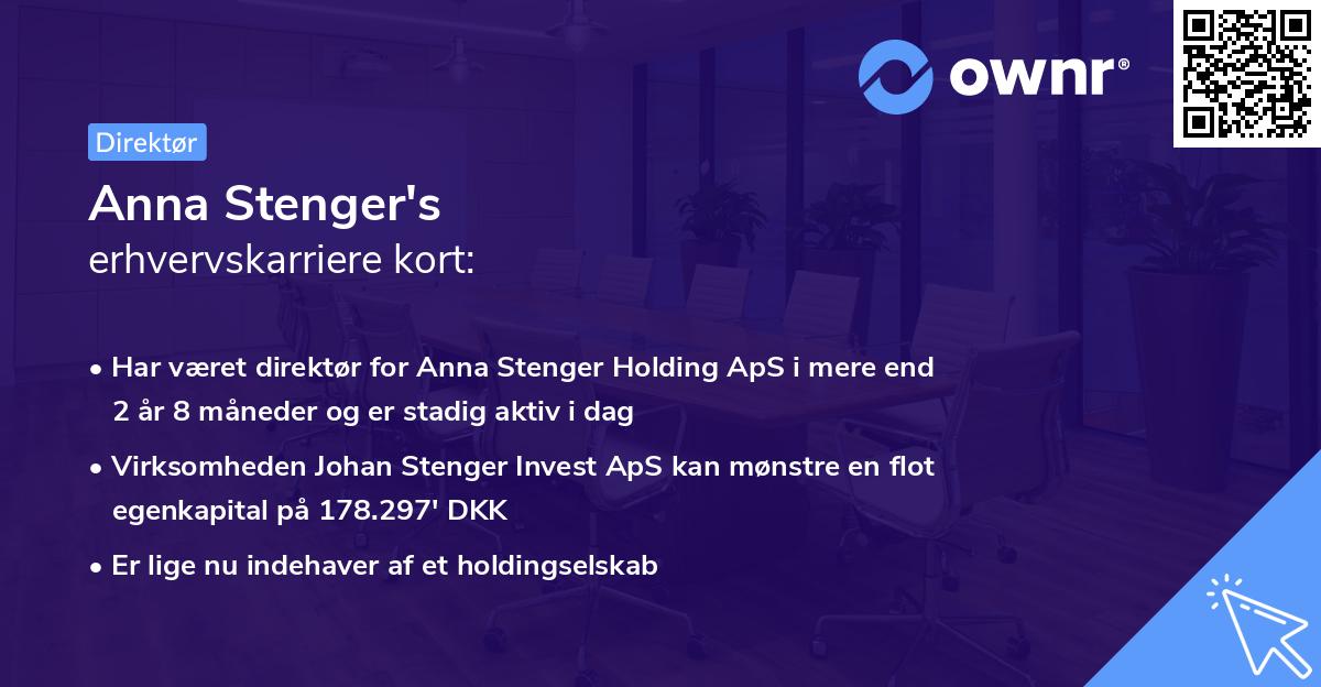 Anna Stenger's erhvervskarriere kort