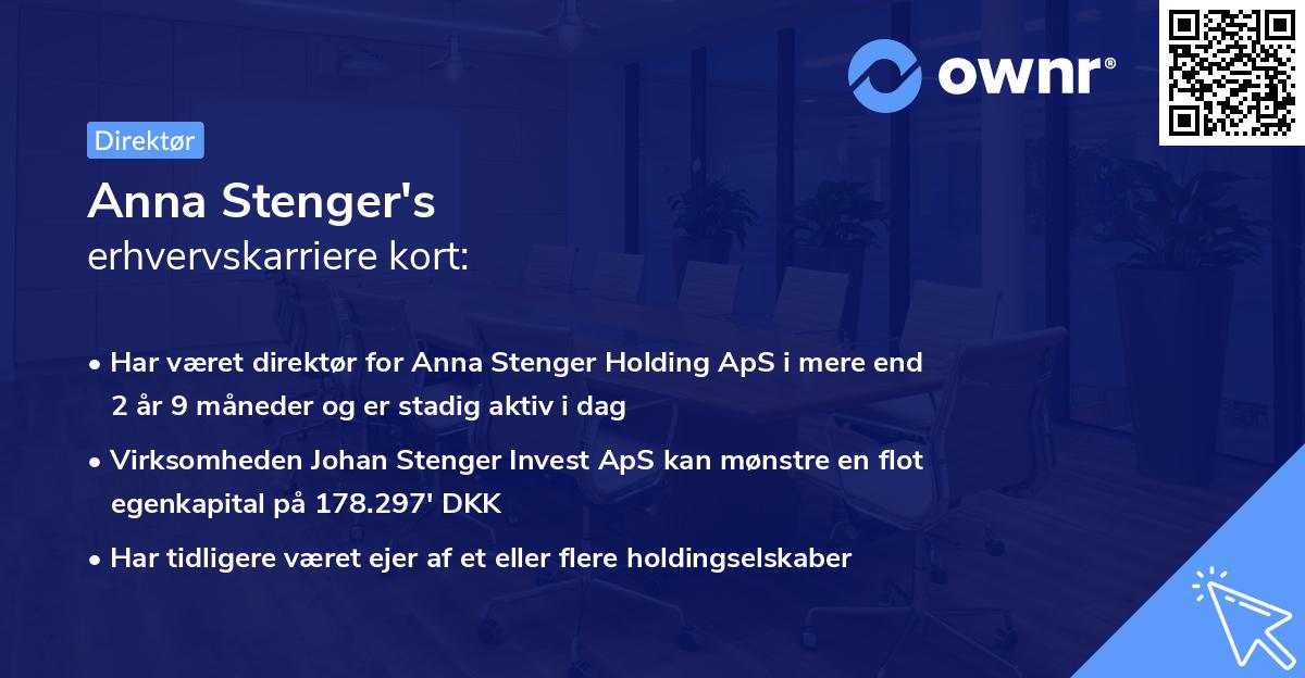 Anna Stenger's erhvervskarriere kort