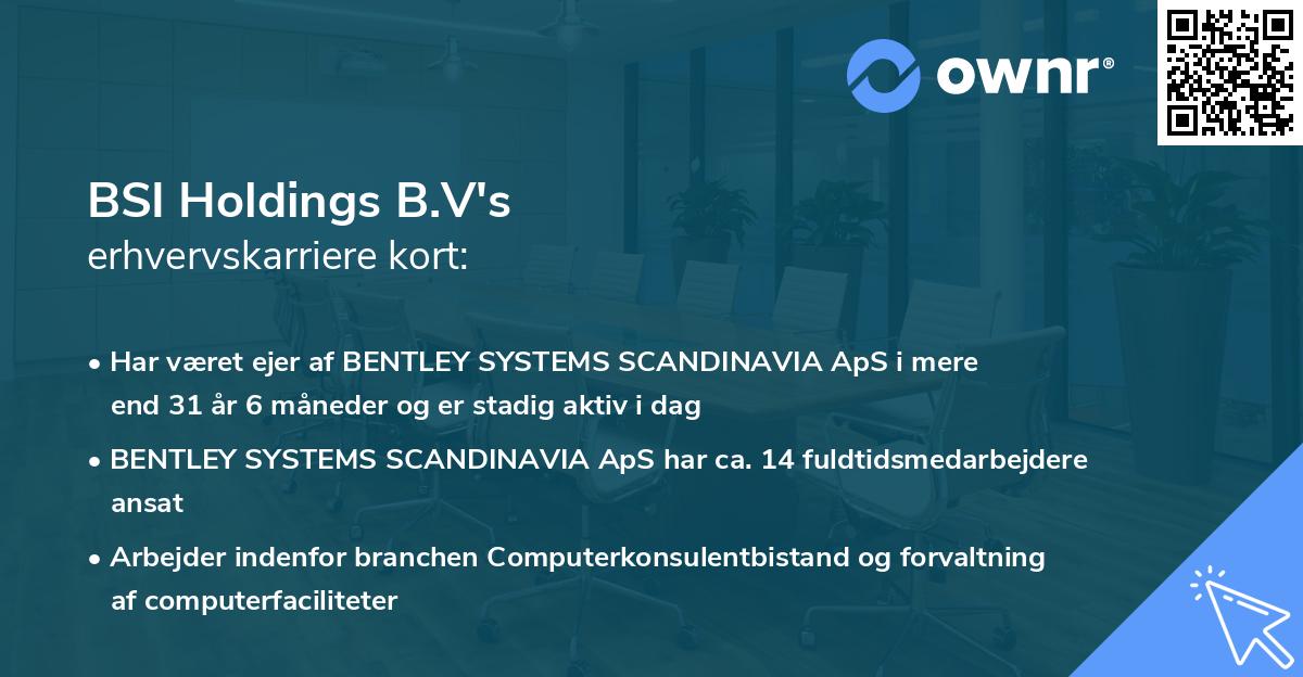 BSI Holdings B.V's erhvervskarriere kort