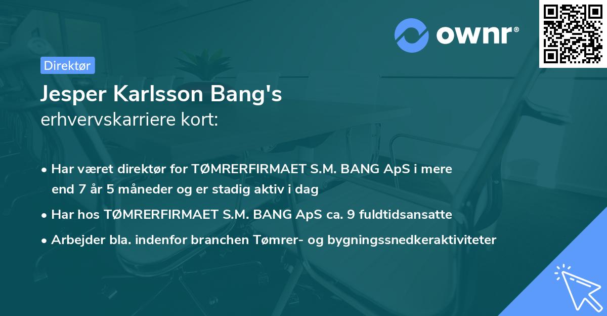 Jesper Karlsson Bang's erhvervskarriere kort