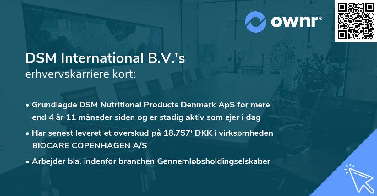 DSM International B.V.'s erhvervskarriere kort