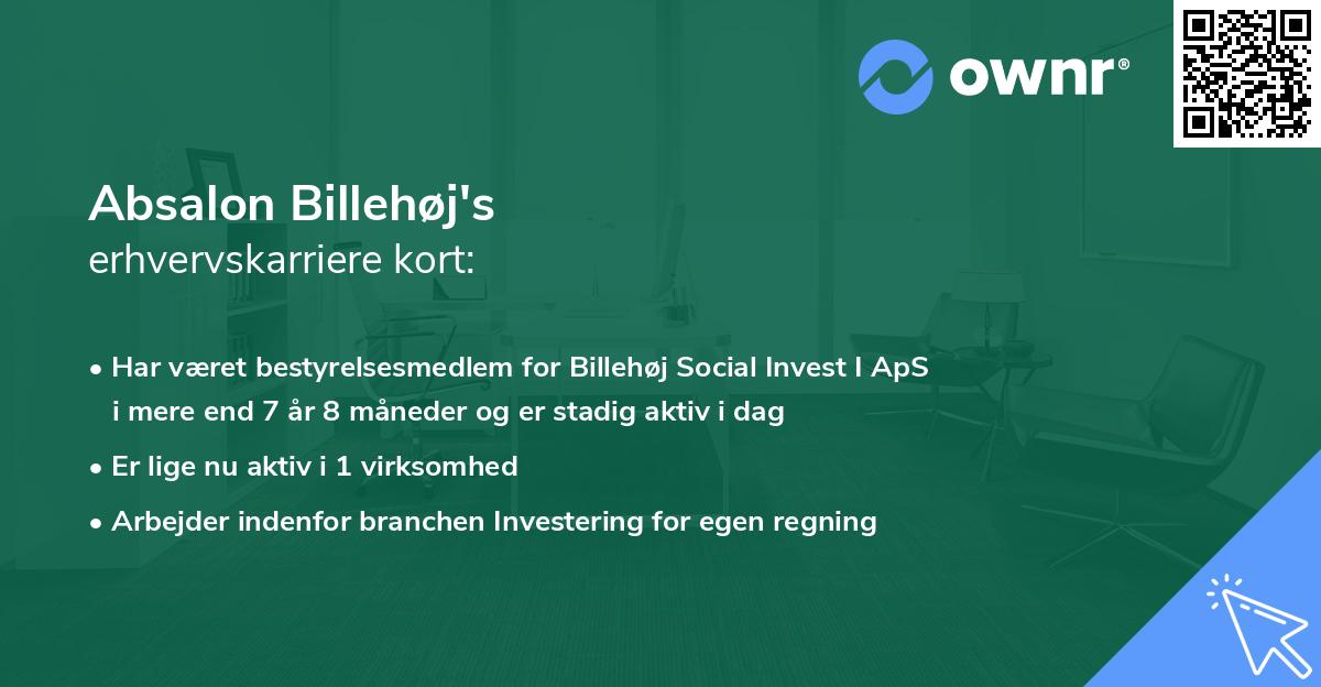 Absalon Billehøj's erhvervskarriere kort