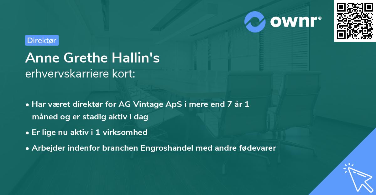 Anne Grethe Hallin's erhvervskarriere kort