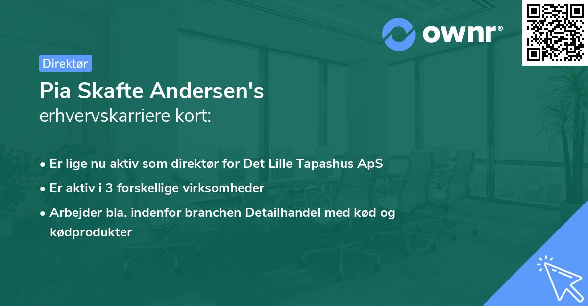 Pia Skafte Andersen's erhvervskarriere kort