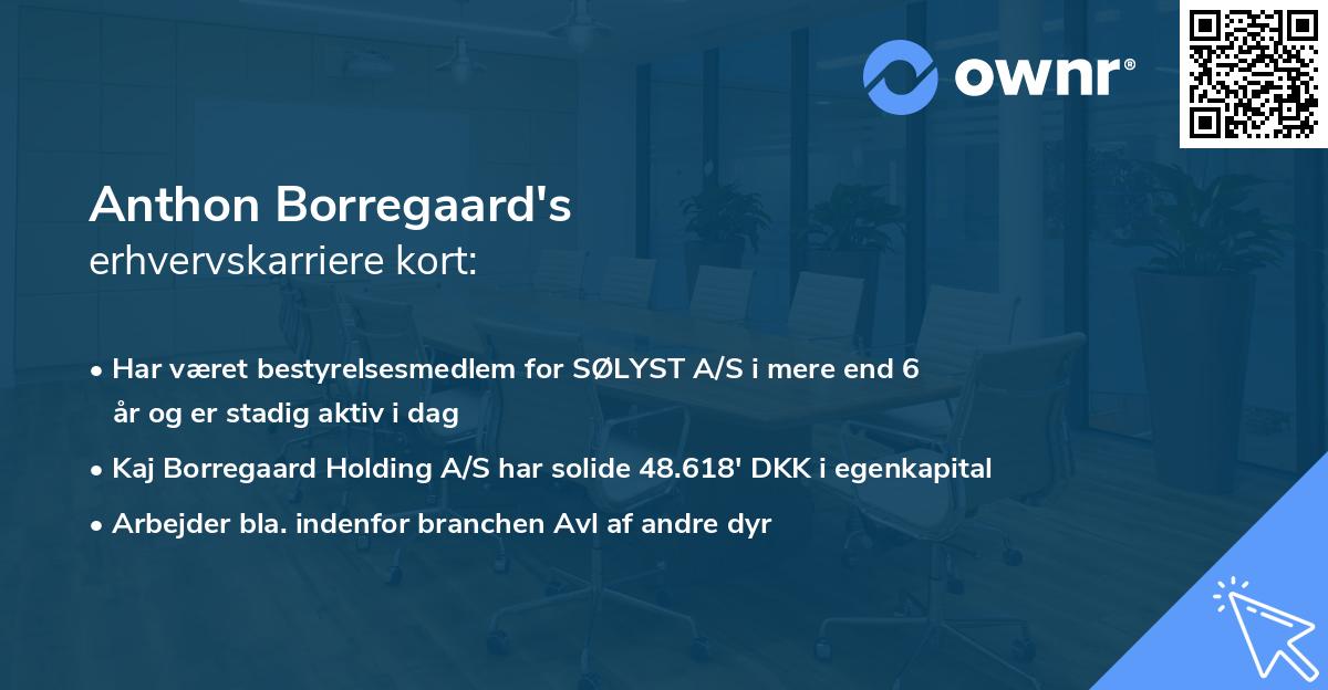 Anthon Borregaard's erhvervskarriere kort