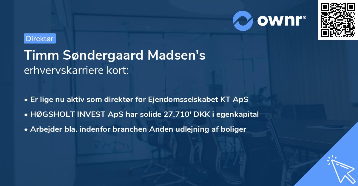Timm Søndergaard Madsen's erhvervskarriere kort