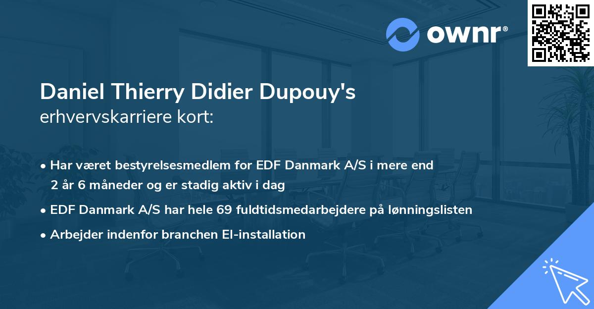 Daniel Thierry Didier Dupouy's erhvervskarriere kort