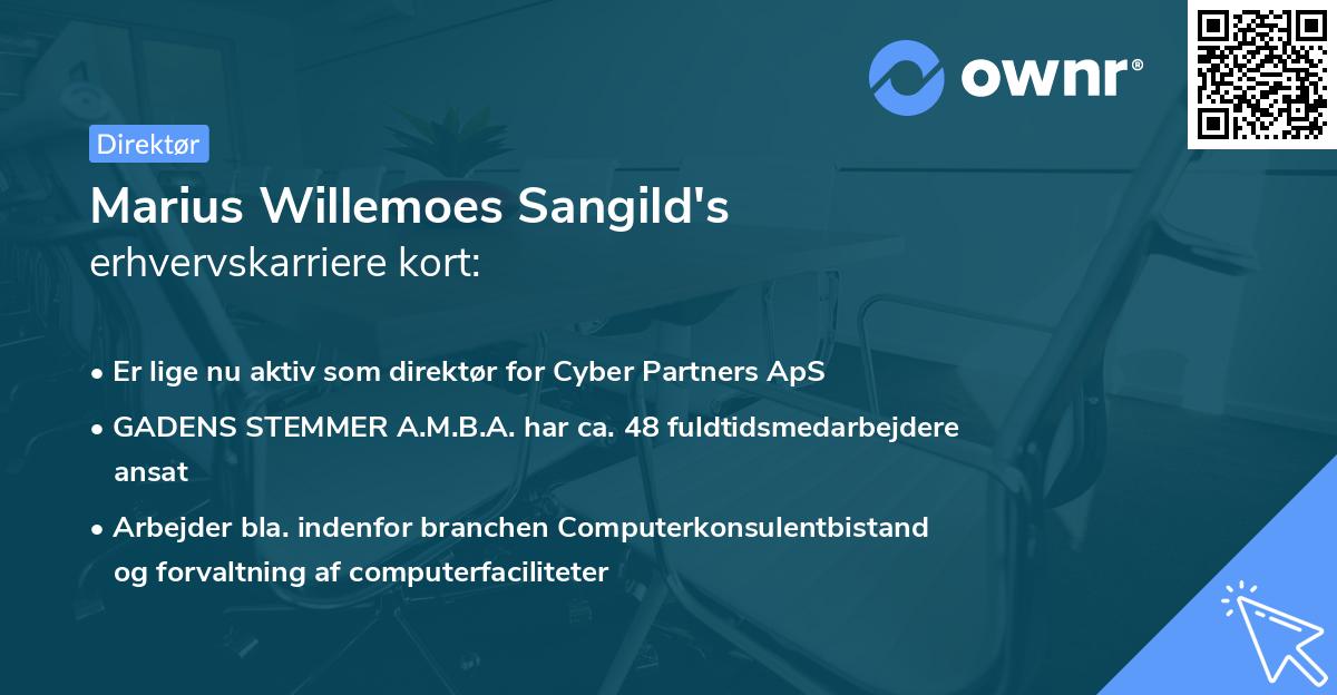 Marius Willemoes Sangild's erhvervskarriere kort