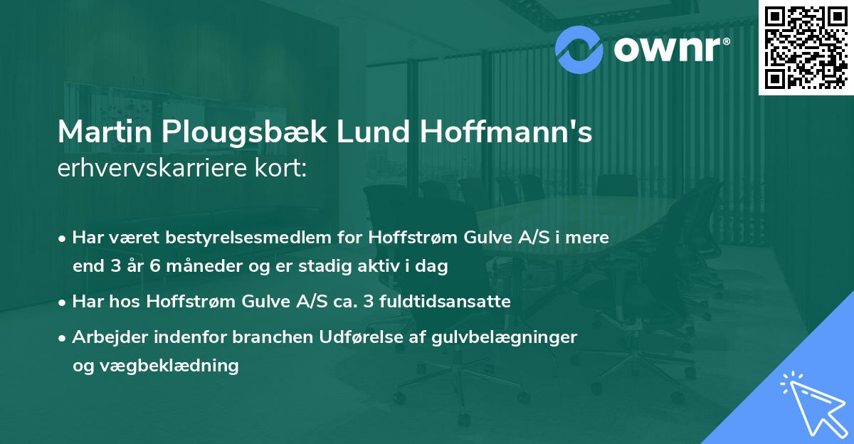 Martin Plougsbæk Lund Hoffmann's erhvervskarriere kort