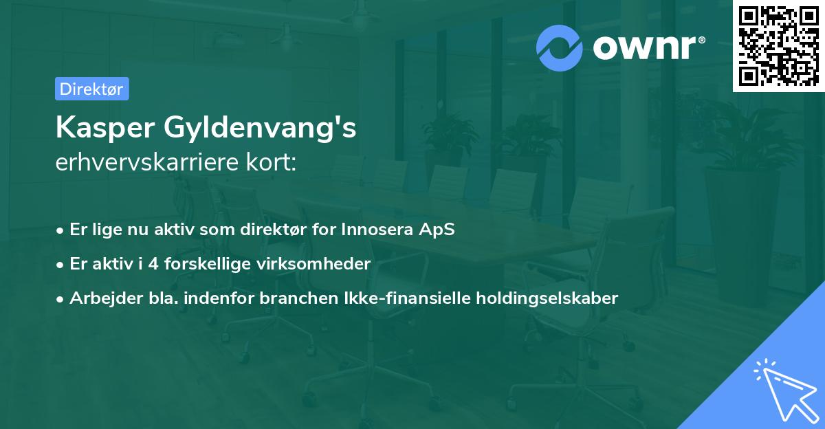 Kasper Gyldenvang's erhvervskarriere kort