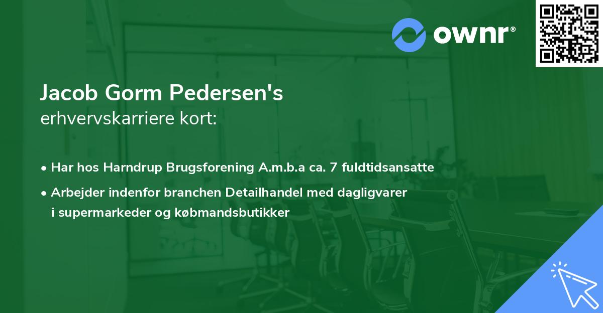 Jacob Gorm Pedersen's erhvervskarriere kort